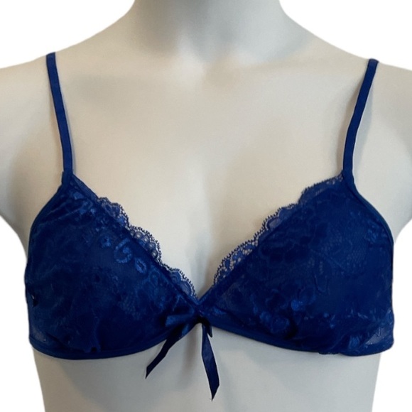 Avidlove Blue Lace Bra and Garter. New with tags Size Large - Picture 2 of 10